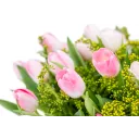 Bouquet of pink tulips